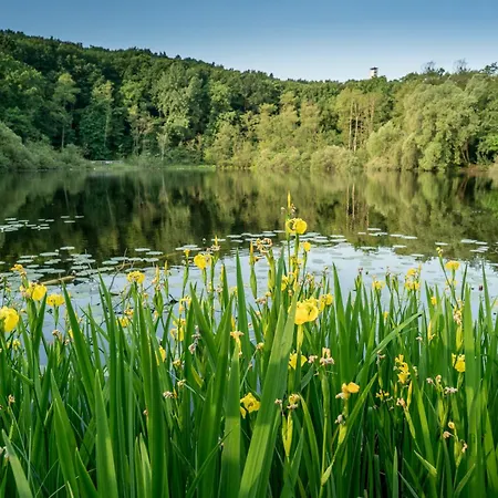 Ruebezahl Am Mueggelsee, Haus 22 Heide Mit Eigener Sauna, Idealer Ort Fuer Natur- Und Erholungssuchende, Fuer Radfahrer, Familien Mit Kindern Und Hundeliebhaber