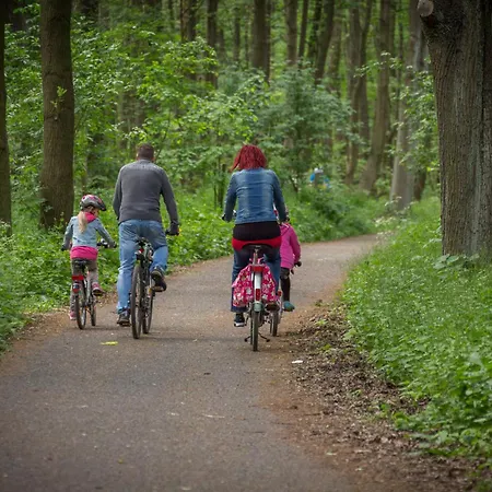Holiday home Ruebezahl Am Mueggelsee, Haus 22 Heide Mit Eigener Sauna, Idealer Ort Fuer Natur- Und Erholungssuchende, Fuer Radfahrer, Familien Mit Kindern Und Hundeliebhaber